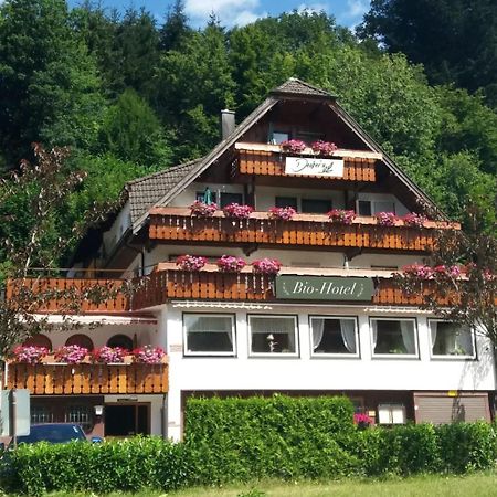Decker'S Bio Hotel Zum Lamm Байерсброн Екстериор снимка